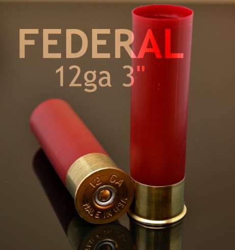 Close-up of two Federal 12 gauge 3