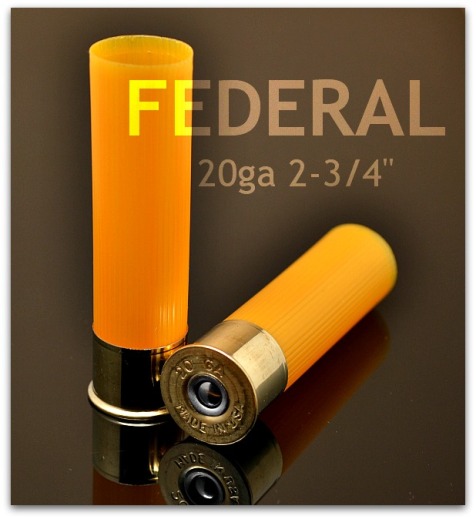 Close-up of two Federal 20 gauge hulls.