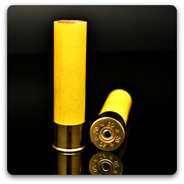 Close-up of two Cheddite 20 gauge hulls.